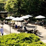 Solo at The Bishop Hotel