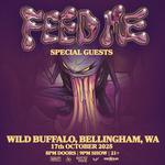 Feed Me's felt sick in Bellingham, WA