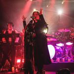 Solo Acoustic | Glen Cove's 1883 Lounge 