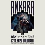 Ankara Festival 2025