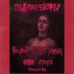 Taipei Black Order Propoaganda