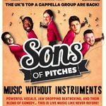 The Sons of Pitches - Welwyn Garden City