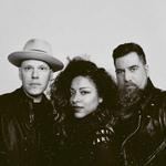Dwight + Nicole Band