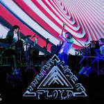 Mark Joseph w/ Momentary Lapse of Floyd @ The Racca Memorial, Blue Ribbon Pines, East Bethel, MN