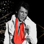 Matt Stone As Elvis w/ The Double Trouble Show Band