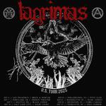 Lagrimas // Florida Man