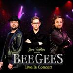 Jive Talkin' at Redditch Palace Theatre