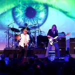 Hard Rock Hotel Daytona w/sg Kobalt27