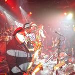 The Honey Badgers at Way Out West