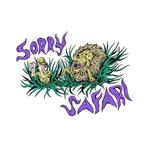 Sorry Safari
