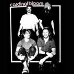 Durango, CO @Animas City Theatre