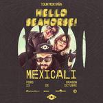 Hello Seahorse! en Mexicali