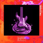 Psychedelic Symphony (Night 2)