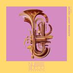 Nu Deco at the Adrienne Arsht Center