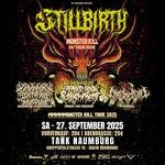 MONSTER KILL TOUR OVER NAUMBURG