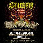 MONSTER KILL TOUR OVER KONGENS