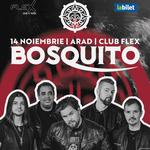 Concert Bosquito 25 de ani