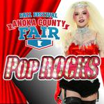 Anoka County Fair / Fall Festival