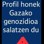 Zea Mays Zallan herriko jaietan