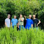 Fine Before You Came