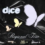 DICE @ FINNIANS TAVERN