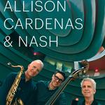 Allison, Cardenas & Nash @ Santa Barbara Museum of Art
