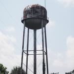 Blue Mother Tupelo at Como Day