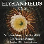 Elysian Fields 30th anniversary show #4