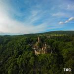 RISING CASTLE 2026 w . CARBON BASED LIFEFORMS LIVE