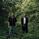 Cold Night For Alligators