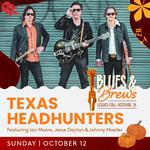 Lewes Blues & Brews Fall Festival