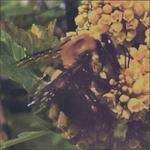 Broncho at Tower Theatre in Oklahoma City, OK