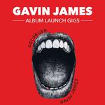 Gavin James Wexford Golden Discs  
