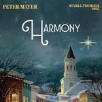 Peter Mayer's Stars & Promises Christmas Tour in Neenah, WI