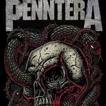 Penntera rocks Childrens Miracle Network Festival