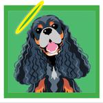 Hayley's Halo Fundraiser