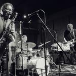 Phillip Greenlief/Nels Cline/Scott Amendola Trio @ Potsdam Library! 