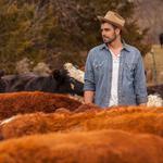 Lyal Strickland Trio