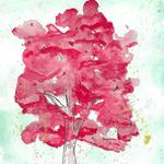 Mud Creek Bluegrass Festical 2026