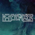 Honeybadger band official