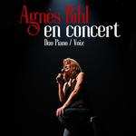 Agnès Bihl en concert à Troyes