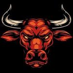 Bullhead Festival 2026