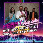 Shawn Perry + Vice City