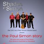 Concert : The Paul Simon Story