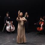 United Strings of Europe: Send Back the Echo