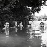 The Gardener & The Tree