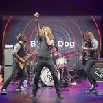 Black Dog – The Spirit of Led Zeppelin