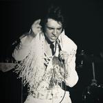 "ELVIS: In Person" Starring Matt Stone & The TEC Band