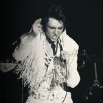 "ELVIS: In Person" Starring Matt Stone & The TEC Band