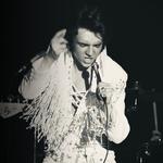 "ELVIS: In Person" Starring Matt Stone & The TEC Band